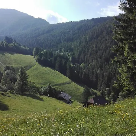 Berghuette Hochhalt Unteralpe