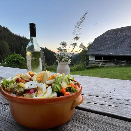 Dom wakacyjny Berghuette Hochhalt Unteralpe